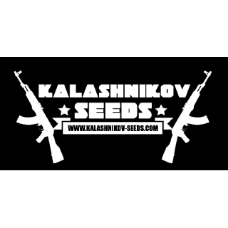 T-shirt kalashnikov seeds taille M