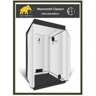 Box 120 x 120 x 200 cm - Mammoth classic+