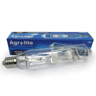 Ampoule MH 600W agrolite