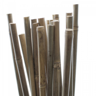 Tuteurs Bambou 120 cm - Pack de 25 pcs