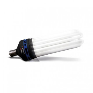Ampoule CFL 125W 6400K - Florastar